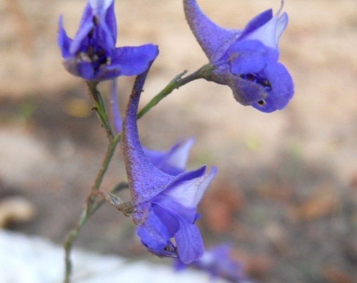 DSCN0762.JPG